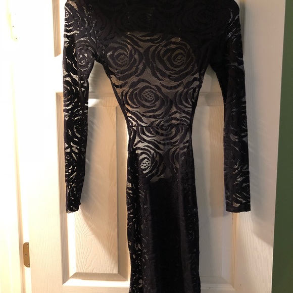 Black Roses - Picture 5 of 6